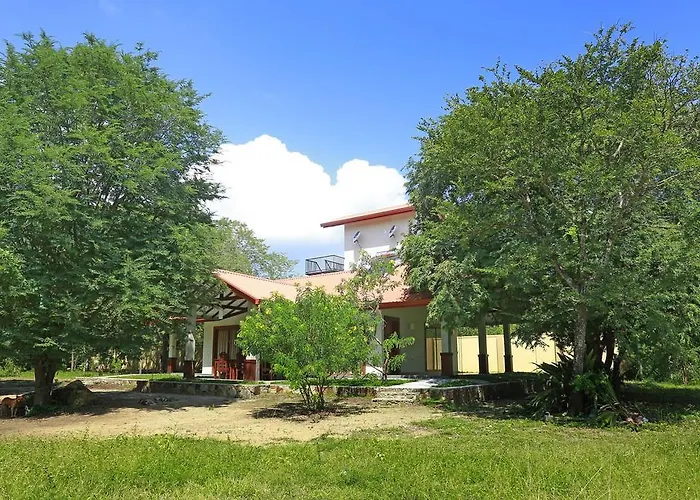 The Forest Chalet